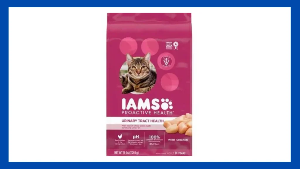 Best Budget: IAMS PROACTIVE HEALTH Adult Urinary Tract Health Dry Cat Food with Chicken
