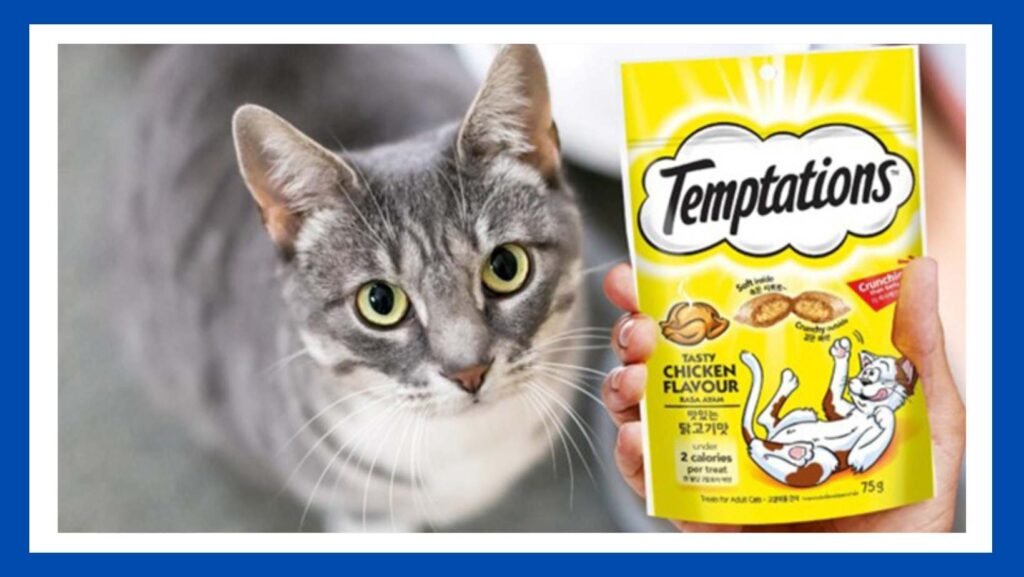 What Do Temptations Do to Cats?