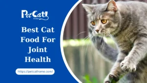 Cat Food For Joint Health