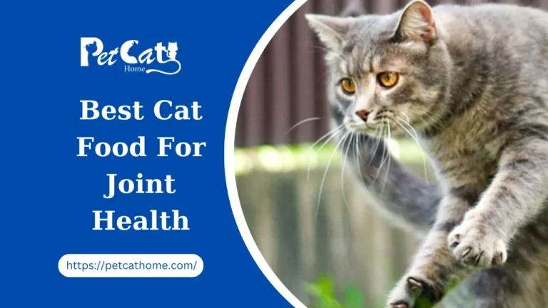 Best Cat Food For Joint Health
