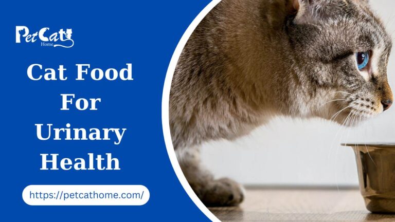 Best Cat Food For Urinary Health Without Vet Prescription