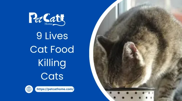 9 Lives Cat Food Killing Cats