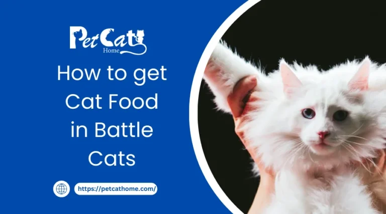How to get Cat Food in Battle Cats