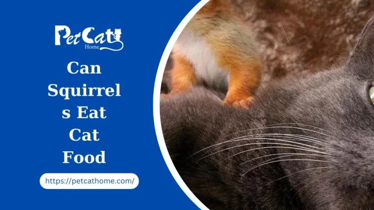 Can Squirrels Eat Cat Food? Unveiling the Nutritional Choices of Our Furry Friends