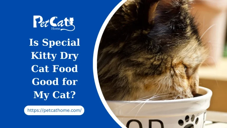Is Special Kitty Dry Cat Food Good for My Cat?