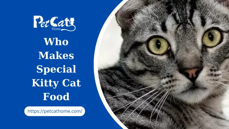 Who Makes Special Kitty Cat Food 2024