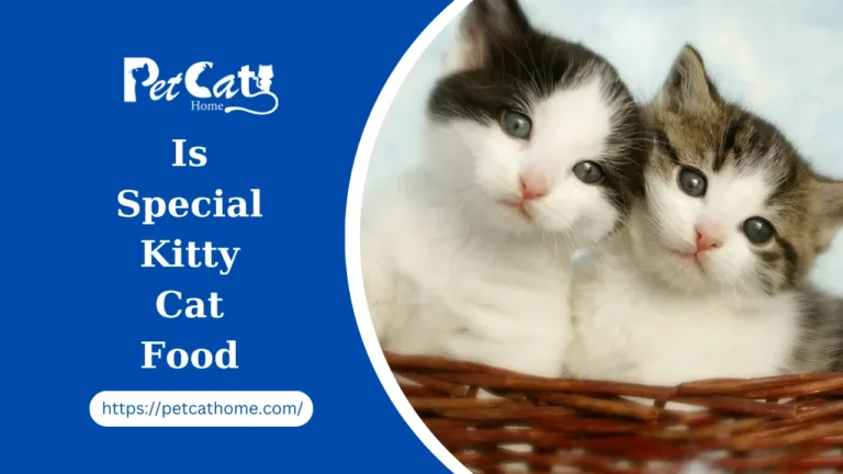 Is Special Kitty Cat Food Healthy: Unveiling the Feline Feast