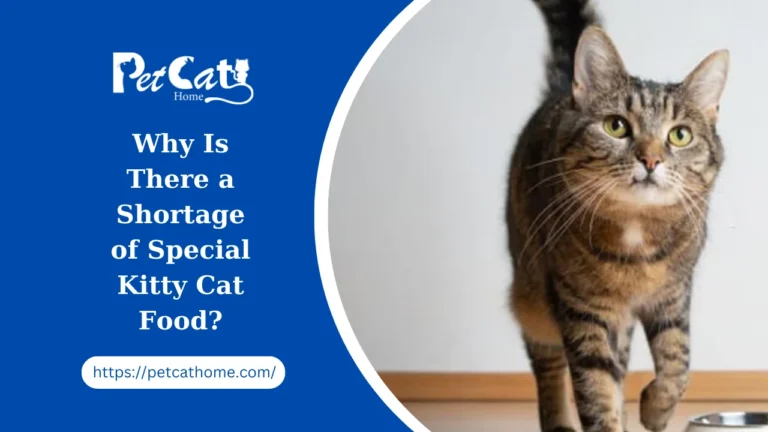 Why Is There a Shortage of Special Kitty Cat Food?