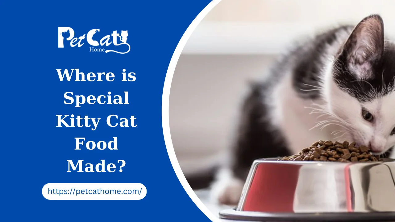 Where is Special Kitty Cat Food Made?