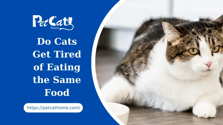 Do Cats Get Tired of Eating the Same Food? Unveiling the Feline Culinary Conundrum