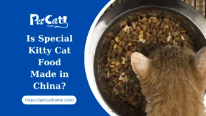 Is Special Kitty Cat Food Made in China? Unveiling the Truth