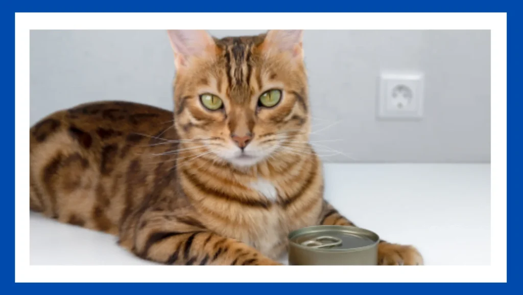 Can You Recycle Cat Food Cans
