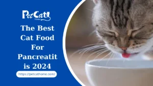 The Best Cat Food For Pancreatitis 2024