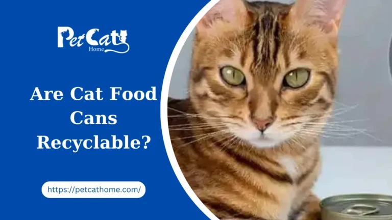 Are Cat Food Cans Recyclable?