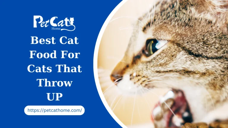 Best Cat Food For Cats That Throw UP