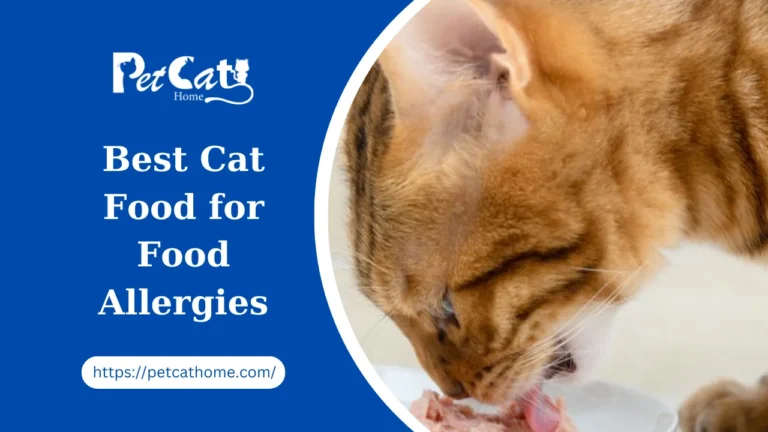Finding the Best Cat Food for Food Allergies