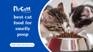 the Best Cat Food for Smelly Poop