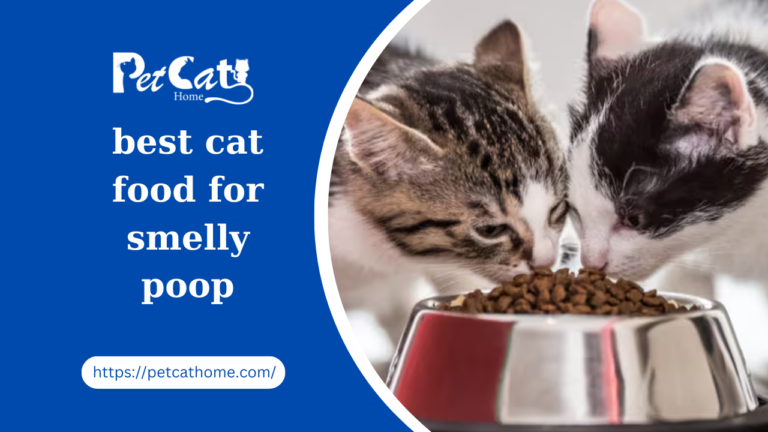The Ultimate Guide to Choosing the Best Cat Food for Smelly Poop