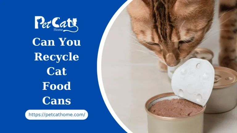 Can You Recycle Cat Food Cans? Unlocking the Secrets of Sustainable Pet Care