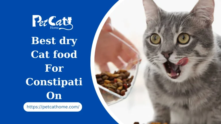 Best Cat Food For Constipation (2024): 8 Wet and Dry High Fiber Foods