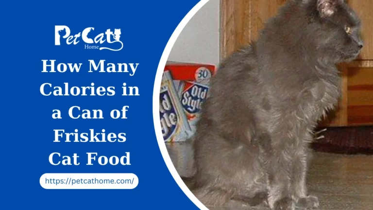 How Many Calories in a Can of Friskies Cat Food 2024