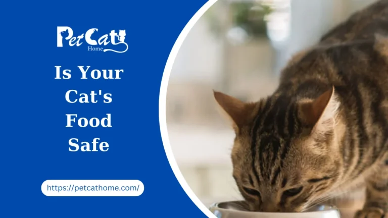 Is Your Cat’s Food Safe? A Guide to Understanding Recalled Cat Food