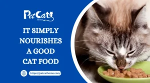 It simply nourishes a good cat food