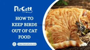 how to keep birds out of cat food