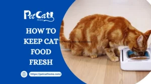 how to keep cat food fresh