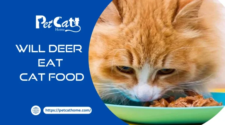 Will Deer Eat Cat Food? A Comprehensive Guide