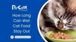 can wet cat food stay out