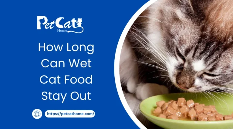 How Long Can Wet Cat Food Stay Out?