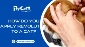 How do you Apply Revolution to a Cat?