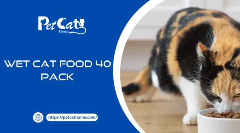 Wet Cat Food 40 Pack