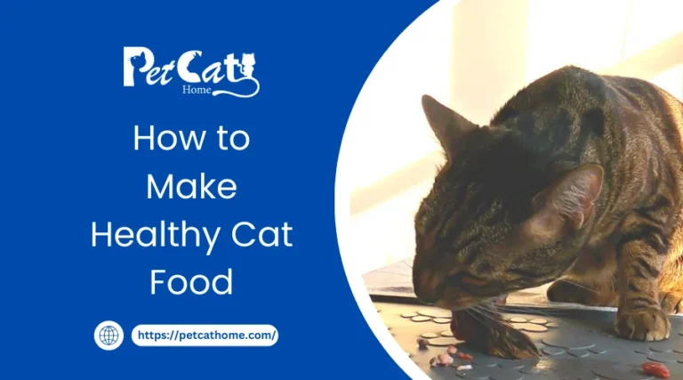 How to Make Healthy Cat Food