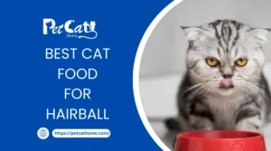 BEST CAT FOOD FOR HAIRBALL