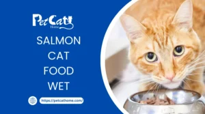 SALMON CAT FOOD WET