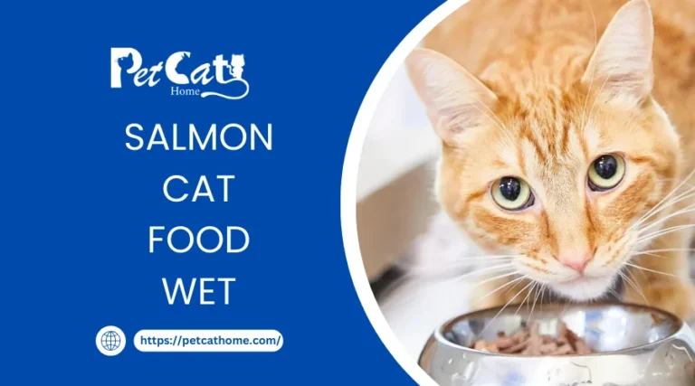 Salmon Cat Food Wet Guide