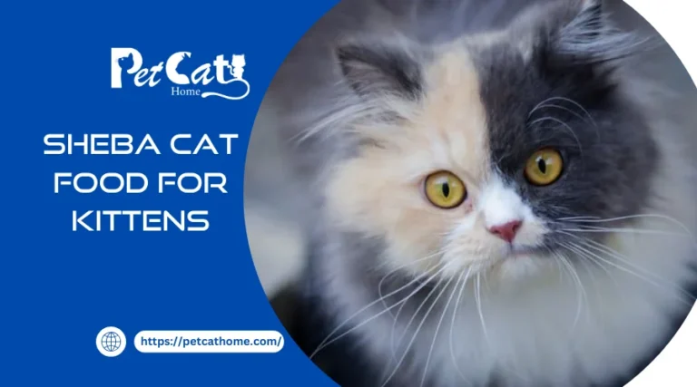 Sheba Cat Food For Kittens