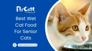 Best Wet Cat Food For Senior Cats