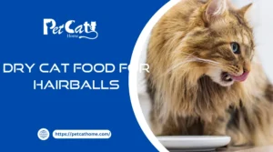 dry cat food for hairballs