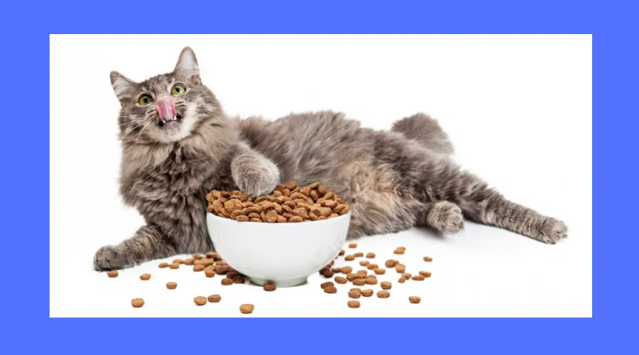 Best Cat Food For Hairballs
