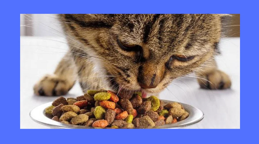 is taste of the wild good cat food