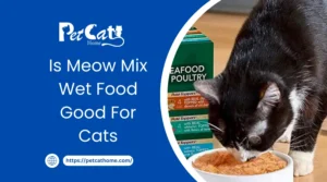 Meow Mix Wet Food