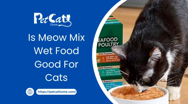Is Meow Mix Wet Food Good For Cats