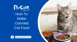how to make canned cat food