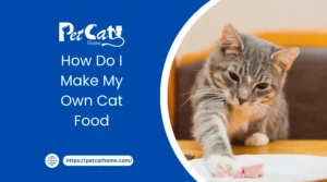 how do i make my own cat food