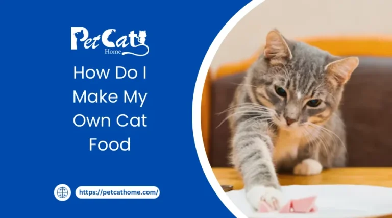 How do I Make my Cat Food