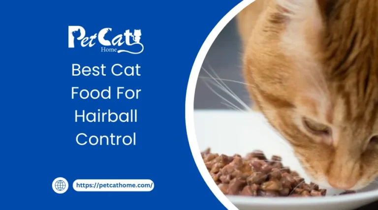 Best Cat Food For Hairball Control