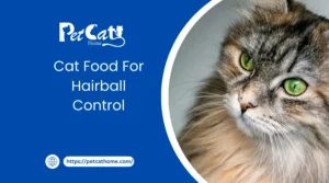 Cat Food For Hairball Control
